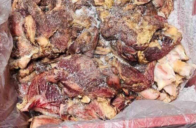 ����� 35 ���� ����� �� ����� ���������, ���� ���� ���� ������� ������� ���� �������