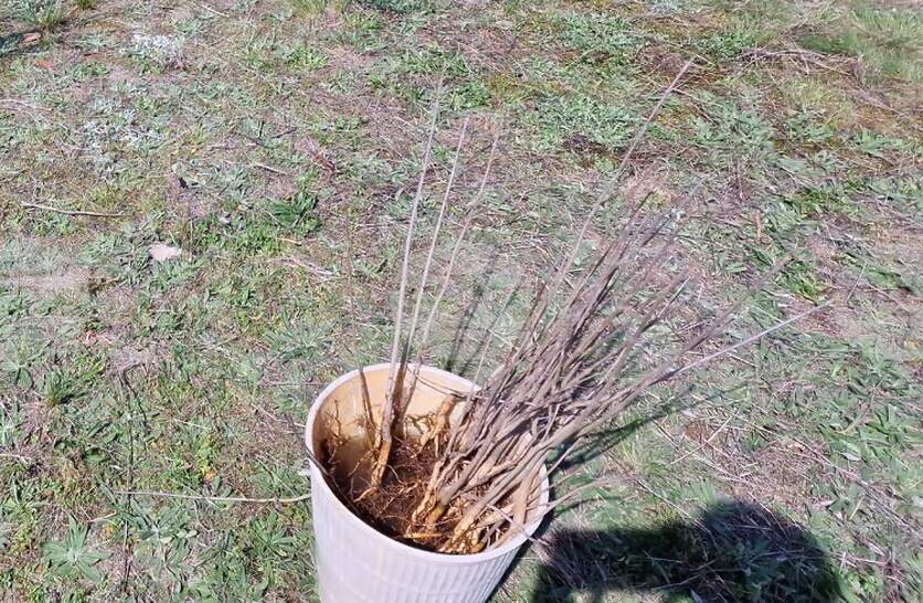 ���������� ������ ���������� � ����� ��������� ��������� 3000 ������� �� ������ ��������� �� ������