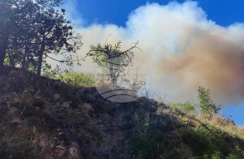 ����� ����� ������ � ���� ����� � ������ ���������� ��������� � ������