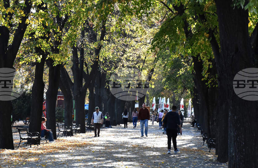 ������ ����� ���������� ��������� �� ���� ������� � ������������� ����