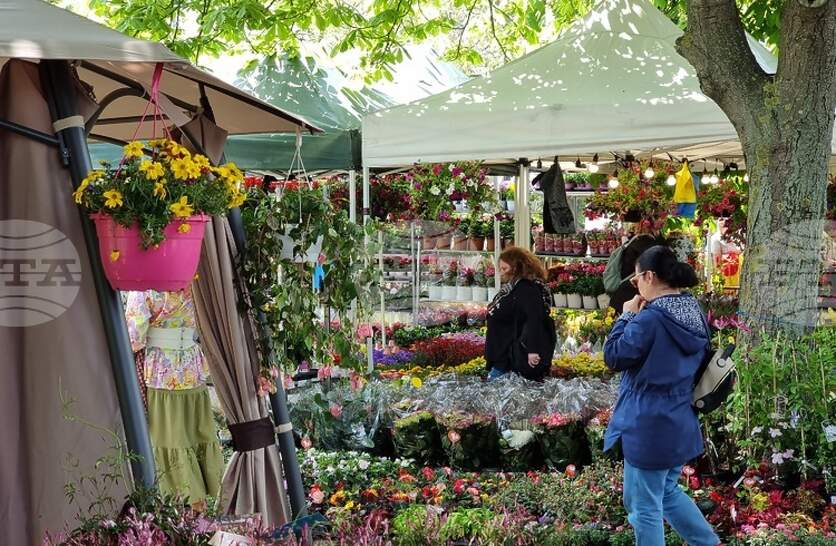 �������� ��������� 