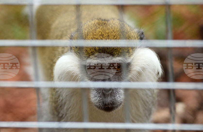 ��������� � ��������� ������� �� ������� ��������� ����������� ����