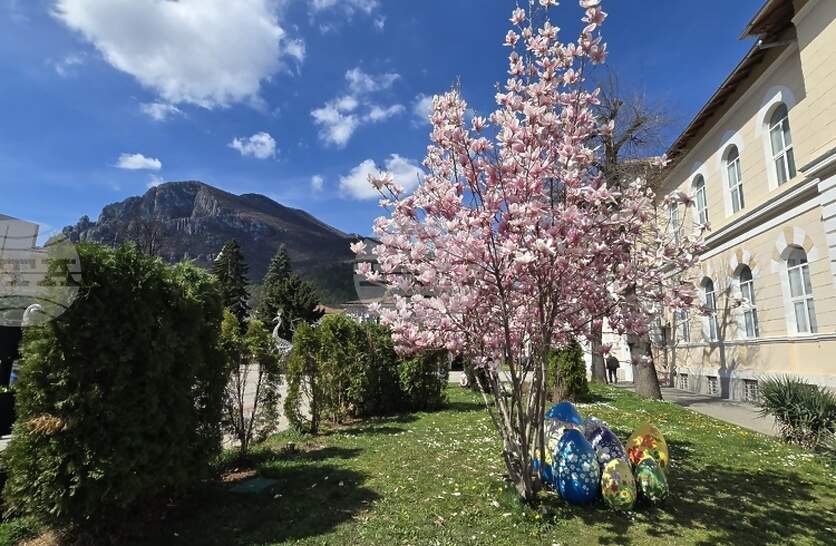 ������� ���������� ��������� �� ������� ����� �������, �������������� �� ������ �����