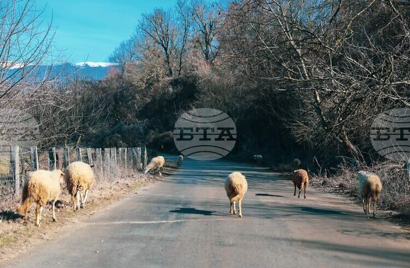 �������� ������� � ������ ��� ������������� �������� ���� � ������ ��������� ��� �������� �� 25 ������