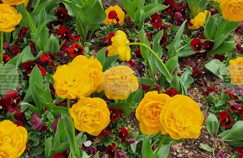 ������� ��������� ������ � ����� ������� �������� ���������� � ������