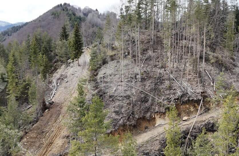 ��������� ����������� � ������ ������� �������� �� ������ ��� ������ ���� ���� ����