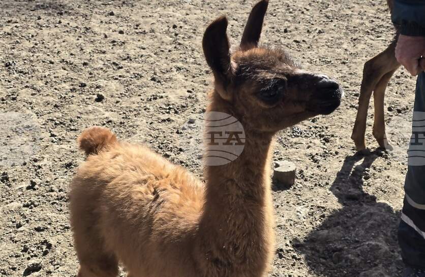 ���� ������ ������ � ��������� ������ �� ���� ���� ����