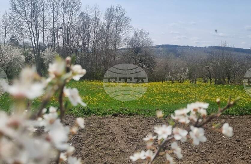 �������� ���� �� �������� ��� ������ �� ����� 4000 ��� ���������� ���� ����� ������ ���������