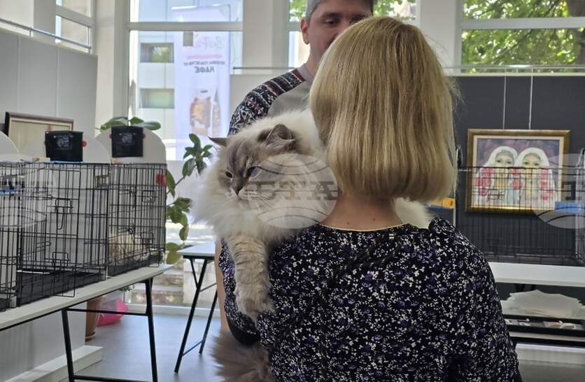 ������������ ������� �� ����� �� ������� � �����������