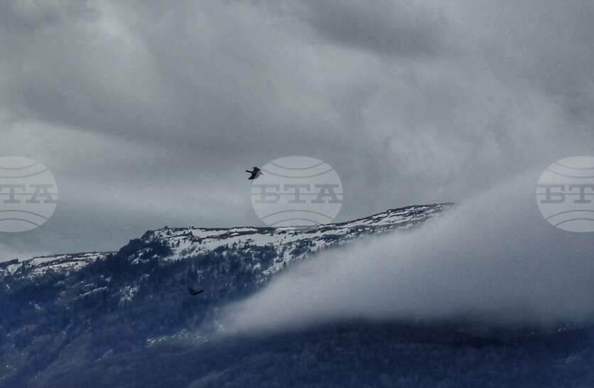 ���� �� ��������� �� ������� � ���������, �������� �� ����������� ���������� ������ �� ���