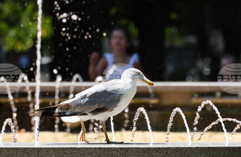 �������� �� ������� �� 26 ����� (������) � ���������� ���