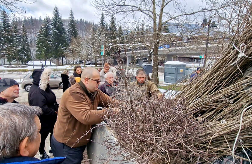 � ������ �� �������� ��������� ������� �� ��������� �� ������