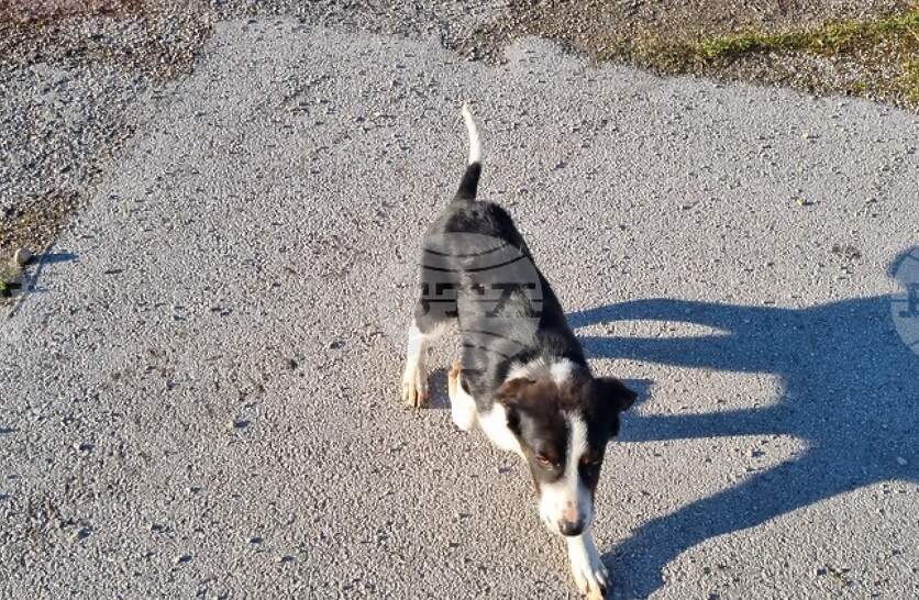 ����� ������ �������� � �������� �� �������� �� ��������� ����� � ��������� ����� ��� 3300 ����