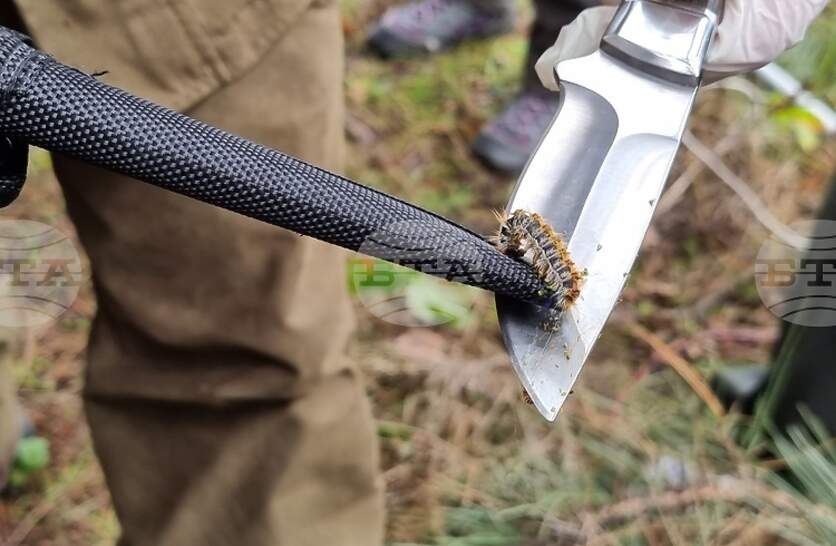 ������ ������ ���������� ����������� ����� �� ���������� �� ����������������� �� ������ �����������