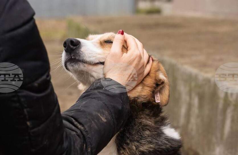 ���������� ������ ������ �������� ����� ���� �������� ������ �� ����������� �� �����