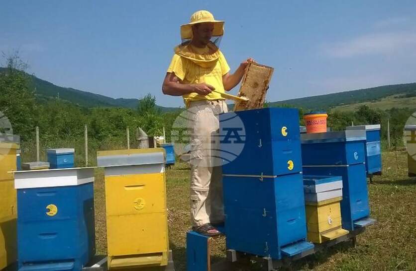 ����������� ������ � �������� �� �������� ������� �������� �� �������� ��������� ���� ���������� ���������