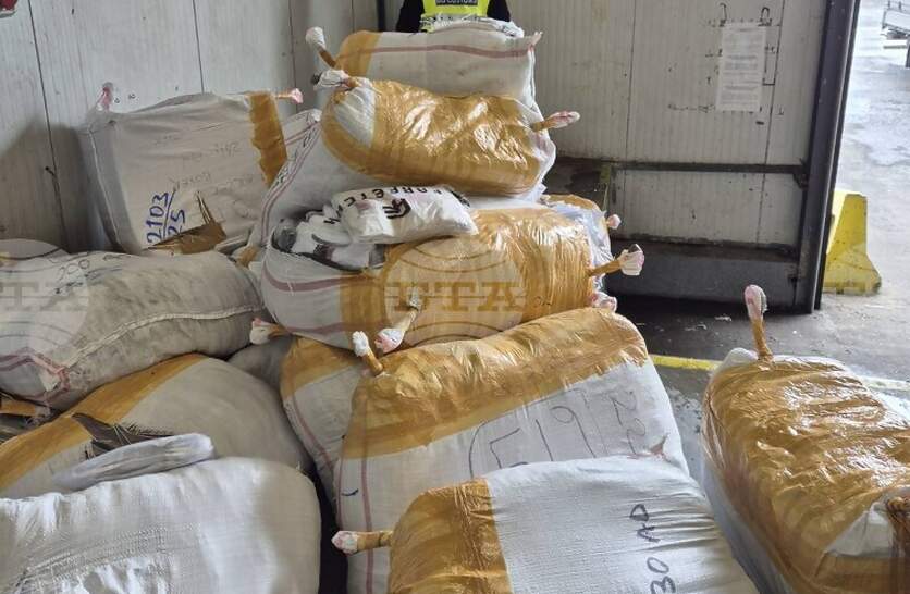 ����� 30 000 ����� ��� �������� �� ��������� ����� ��������������� ����������� �� ��������� �� ����������� ����� �������� ��������