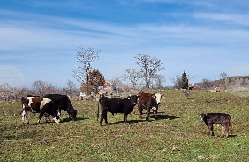 ������������� � ������ �� ���������� ������ ����� �� 321 �������������� ������� � �������� �� ��� ��������