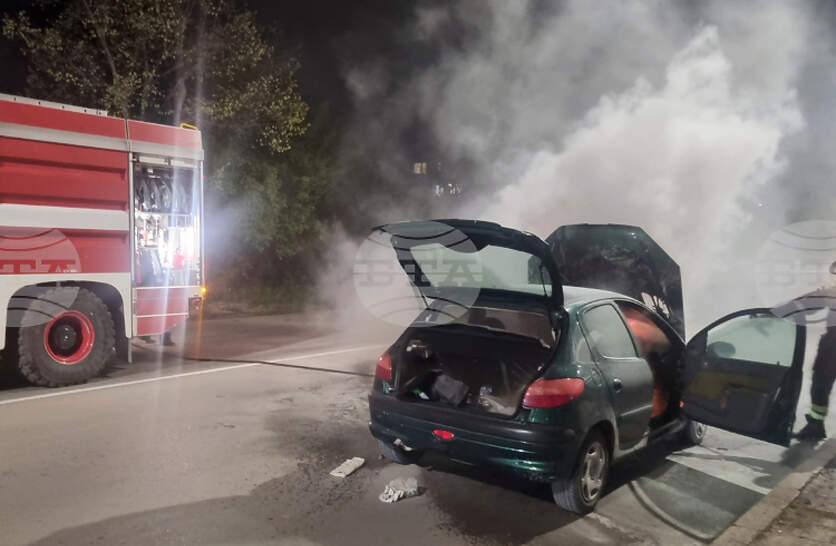 ����� �� ��������� �� �������� 54 ������ ���� ���������� ���������, ���������� �� ����� ����