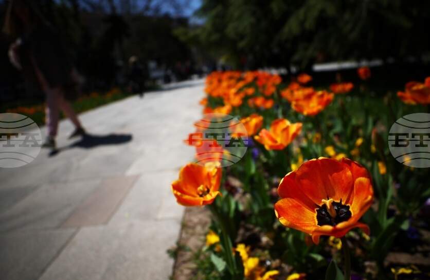 � ������ � ������� �� ��������� ��������� � ������ �� ��������� �� ���� ��������� ���������� ��� �� ������ ����