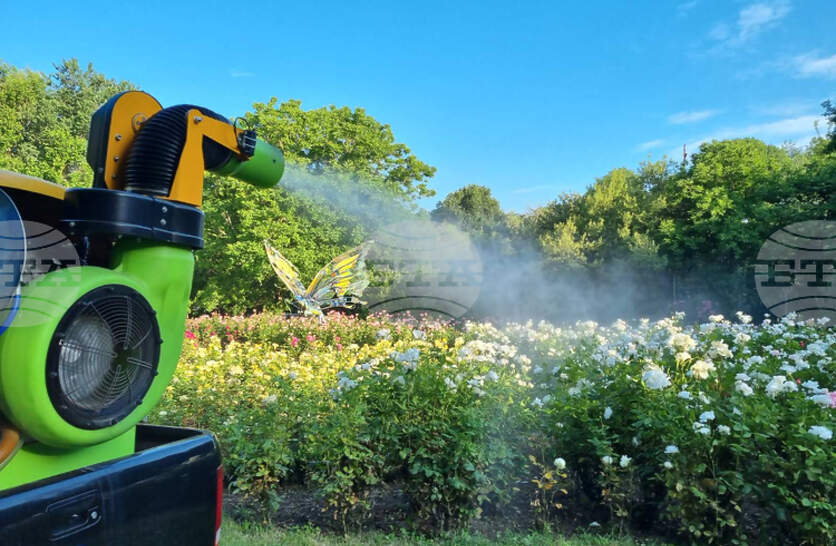 �������� ����������� ����� �������, ������ � ����� � ������� � �������� � �����