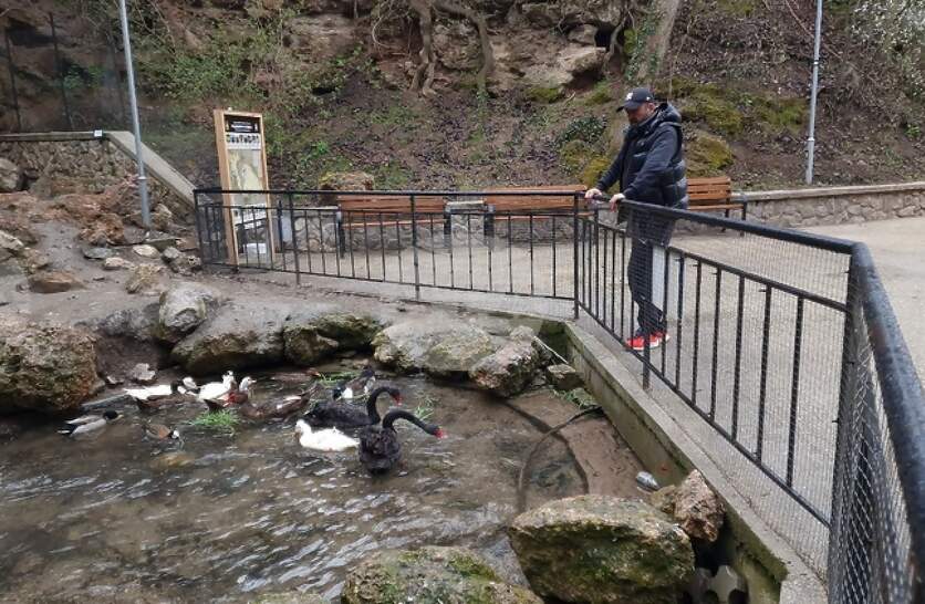 � ����������� ���� ��������� �� ��������� ����� �����, ���� ����� � � ������ ���� ������ � ����� ���