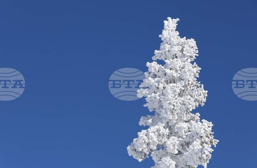 ����� �� ��������� �� ������� � ���������, �������� �� ����������� ���������� ������ �� ���