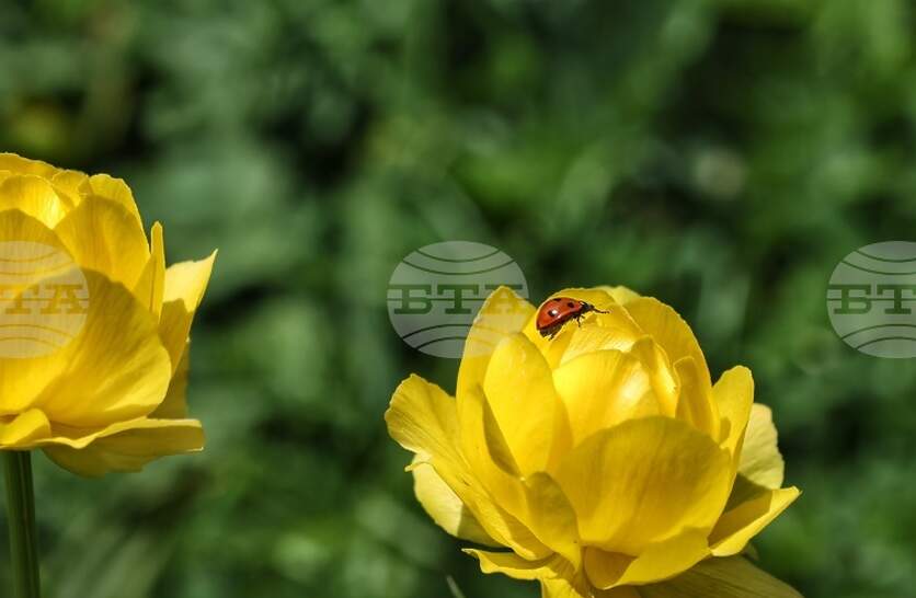 �������� �� ������� �� 11 ��� (����������) � ���������� ���