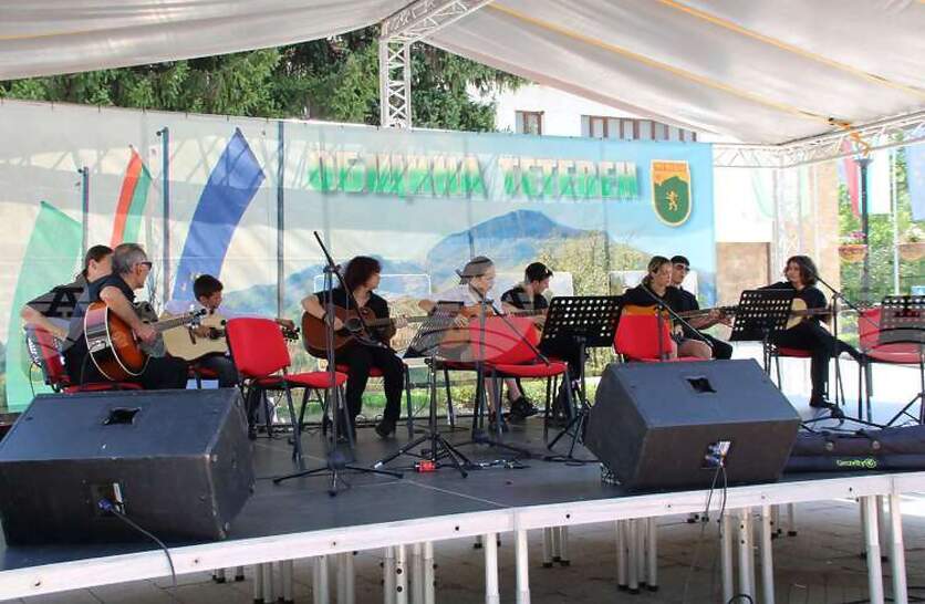           Guitar Green Fest  
