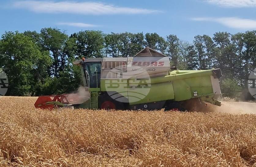           693,8 /,       