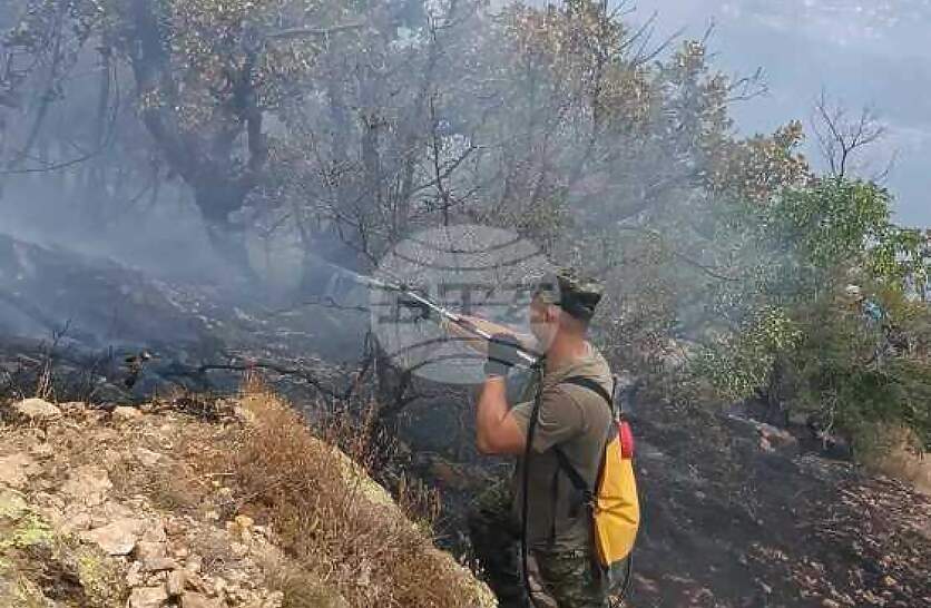 ,       ,    ,  