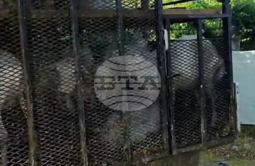        ,    
