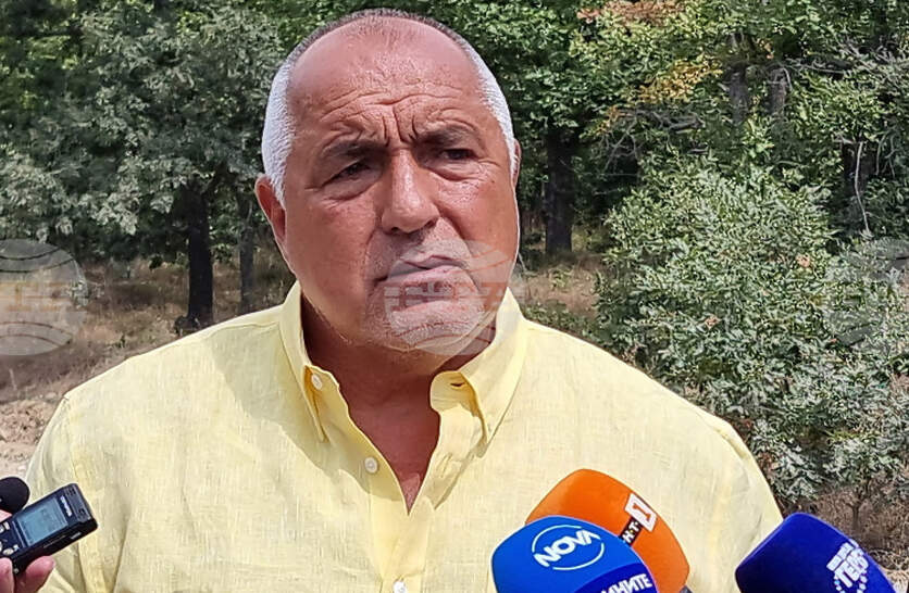   ,           