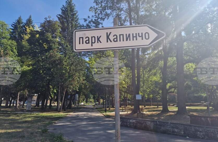        ,   