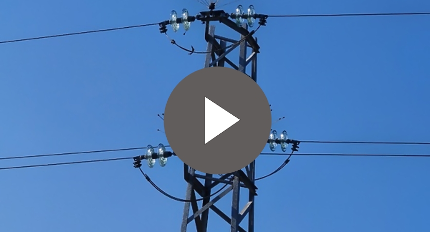 ����� - ������ ������� ������ ������ ������������� �� ����������������� ���� ������ �� �������� ������� ���� �������