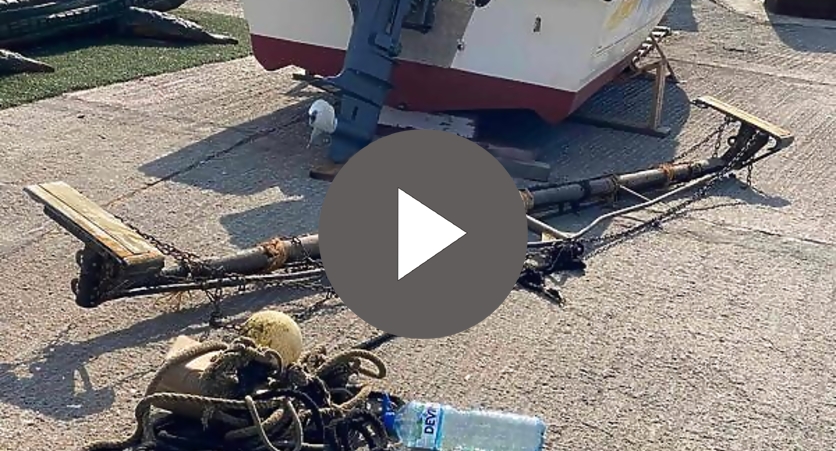 ����� � ���������� ����� ��������� ���� ��� �������� ���� �������, �������� �� ����