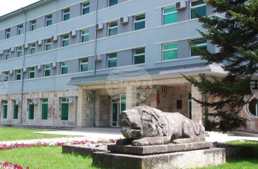         19- ,  ,       