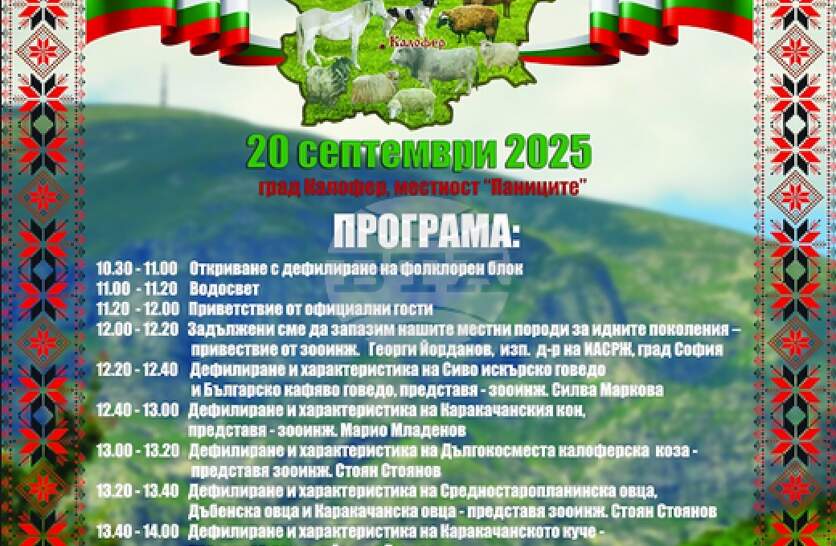                   20 