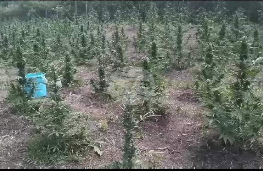          ,   