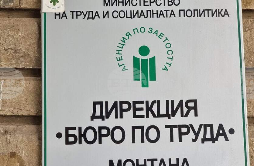 В Бюрото по труда в Монтана са обявени 19 свободни работни места за висококвалифицирани специалисти