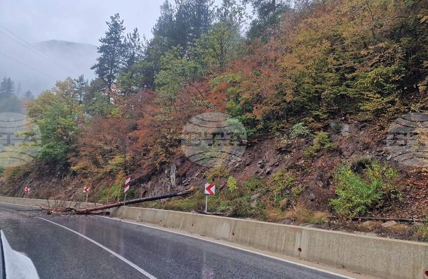 Шофиращите в област Смолян да се движат с повишено внимание заради паднали камъни, предупреждават от Областното пътно управление