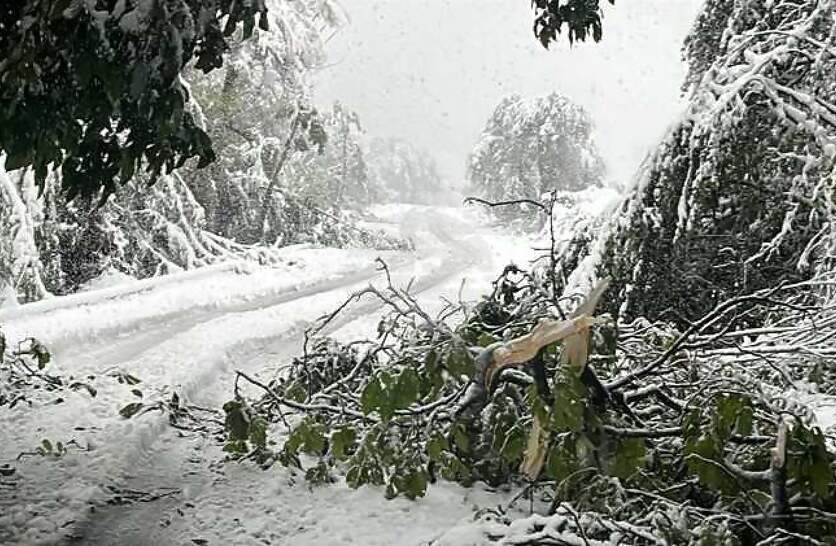        59     ,         2-3 