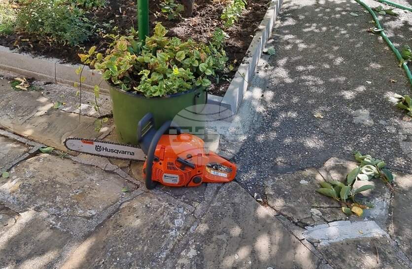 В Сливен започва резитба на корони на тротоарните дървета по три булеварда