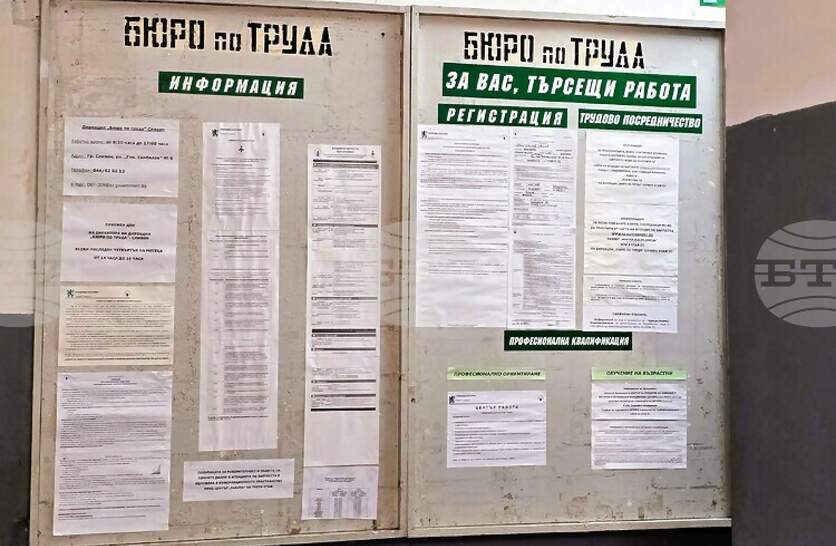 Пет позиции за висшисти са обявени от Бюрото по труда – Сливен