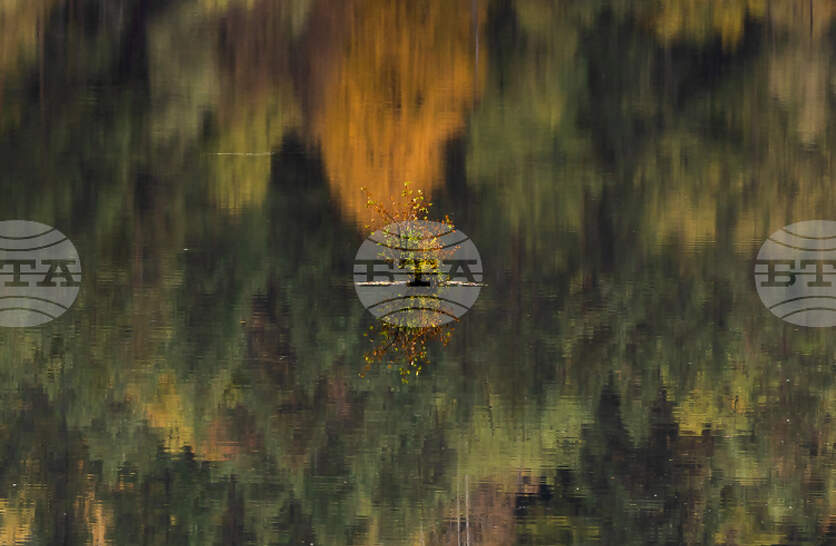 Прогноза за времето на 23 Октомври (Четвъртък) и следващите дни