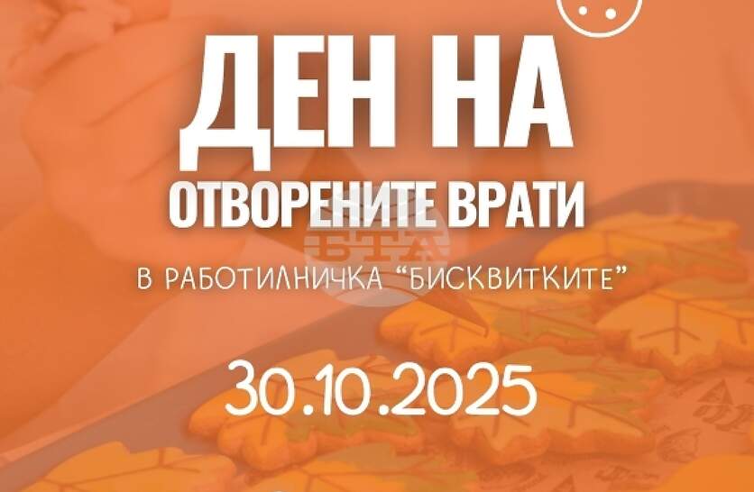 Социалното предприятие Работилничка