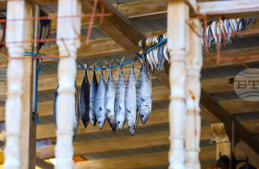 Созопол подготвя пето издание на Празника на о-солената риба