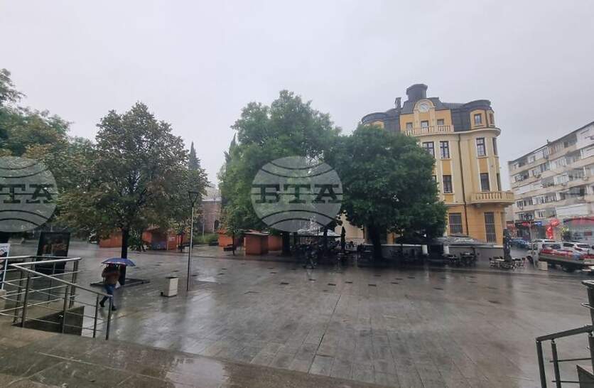 Четири дървета са паднали в Стара Загора