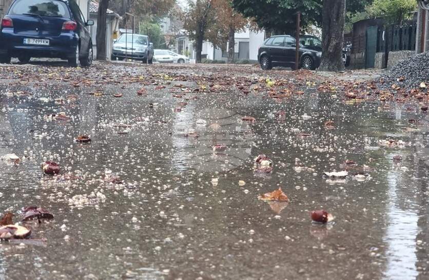 Няма сигнали за поражения след лошото време в общините от област Добрич, по данни на оперативните дежурни