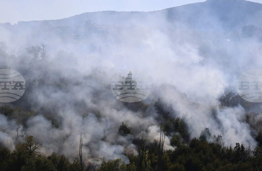 ��� 19 000 ��� ���� �� ����������� �� ������������� �������� ����������� ����� �� ��������� �� ������ �� �������� �� ��������